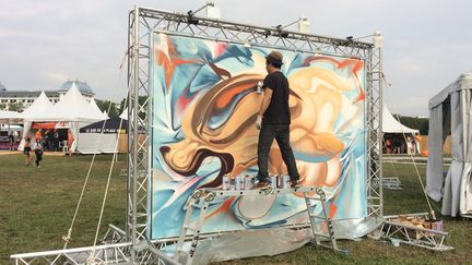 Quinze street artistes se succèderont sur les 3 jours du festival.
 (Paméla Rougerie / Culturebox)