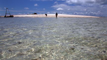 À la découverte des fonds marins des Seychelles