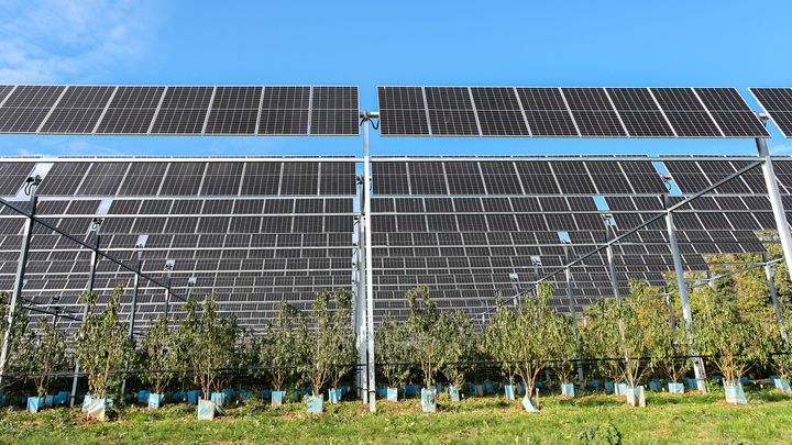 Installation de panneaux photovoltaïques sur le site de Sun’Agri à la station expérimentale agrivoltaïque de Rhône-Alpes à Etoile-sur-Rhône le 8 décembre 2022. (NICOLAS GUYONNET / HANS LUCAS via AFP)