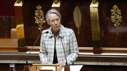 La Première ministre Elisabeth Borne, à l'Assemblée nationale, le 4 décembre 2023. (LUDOVIC MARIN / AFP)