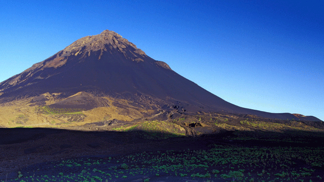 &nbsp; (Des ceps de cabernet poussent les pieds dans la lave, sur les pente du Pico, volcan en activité. © Géo)