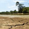 Un étang en partie asséché à Montfort-en-Chalosse (Landes), le 3 août 2022.&nbsp; (GAIZKA IROZ / AFP)