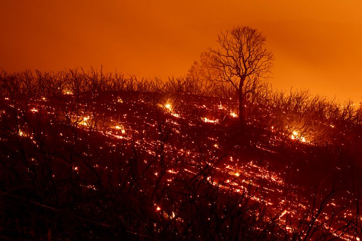 La nature en flammes, près de&nbsp;Clearlake Oaks (Californie).&nbsp; (NOAH BERGER / AFP)