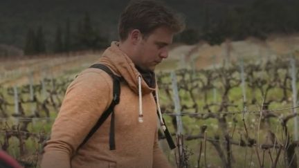 Agriculture : dans le Vaucluse, deux frères vignerons ont repris le domaine paternel