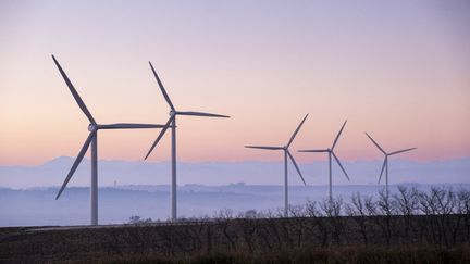 Des éoliennes à&nbsp;Avignonet-Lauragais (Haute-Garonne), le 27 janvier 2022. (FRANCOIS LAURENS / HANS LUCAS / AFP)