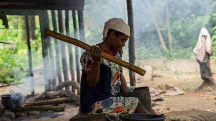 Village pygmée dans la forêt tropicale du Cameroun, le 26 mai 2017. (NABILA EL HADAD / AFP)