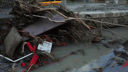 Hautes-Pyrénées : de fortes intempéries font déborder la rivière de la Neste (Franceinfo)