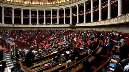 Les députés en session à l'Assemblée nationale, le 1er aout 2017.&nbsp; (PHILIPPE LOPEZ / AFP)