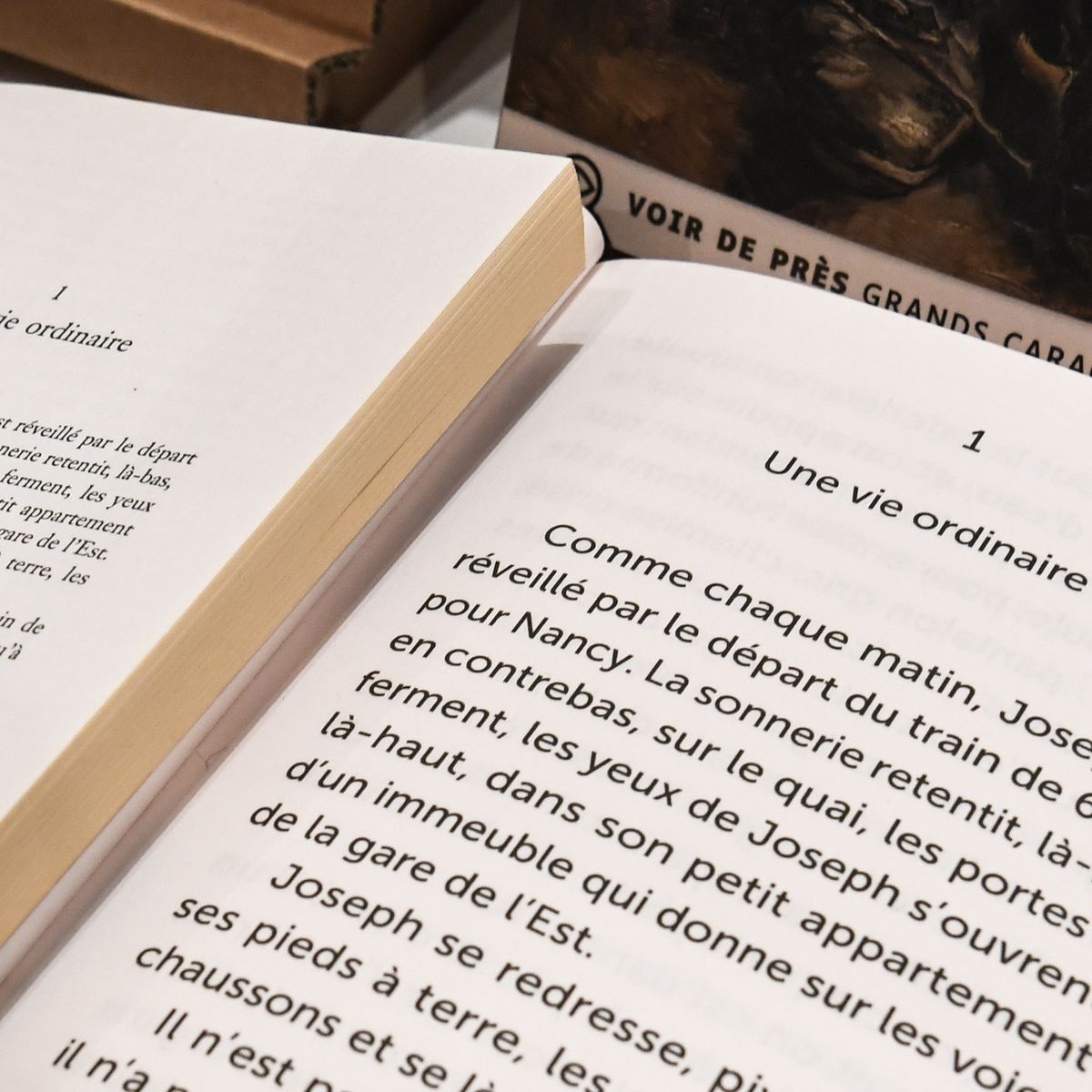 Livres Adulte - Librairie Grands Caractères