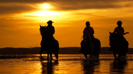 Gironde : au bord des lacs, un coucher de soleil à cheval paradisiaque (FRANCE 3)