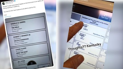 Attention à ces publications pro-Trump qui laissent entendre que les votes anticipés aux Etats-Unis sont truqués. (CAPTURE ECRAN X ET TIKTOK - RADIO FRANCE)