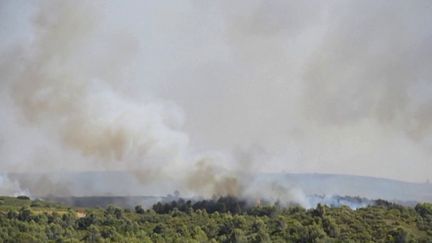 Incendies dans l'Hérault : 800 hectares détruits par les feux à 20 km de Montpellier, les pompiers restent mobilisés