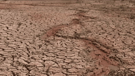 Jour du dépassement : l’humanité a utilisé toutes ses ressources naturelles plus tôt que prévu (Franceinfo)