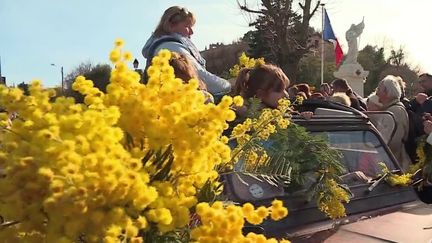 Var : la fête du mimosa illumine l'hiver (France 2)