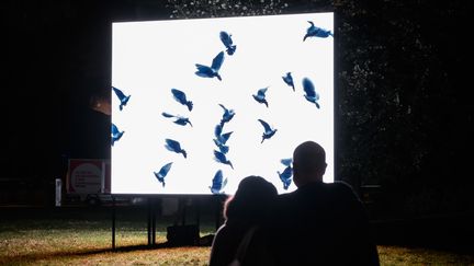 L'installation de l'artiste belge Agnès Guillaume au Musée d'art moderne de la Ville de Paris, le 2 octobre 2020 (BERTRAND GUAY / AFP)