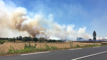 Le feu s'est déclaré sur la commune de Bessan, dans l'Hérault. (Préfecture d'Hérault - Twitter)