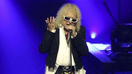 L'artiste Michel Polnareff en concert à Nice (Alpes-Maritimes), le 8 novembre 2016. (VALERY HACHE / AFP)