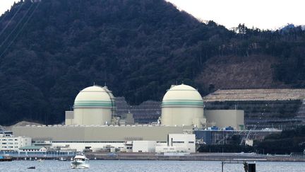 la centrale nucléaire de Takahama dans la ville de Takahama, préfecture de Fukui, au Japon, le 28 mars 2017 (STR / JIJI PRESS)