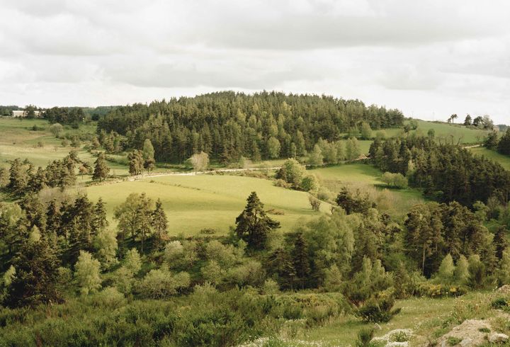 Thibaut Cuisset, Série "Une campagne française", Sans titre (La Margeride, Lozère), 2010
 (Thibaut Cuisset / Observatoire photographique national du paysage Galerie Les Filles du calvaire, Paris)