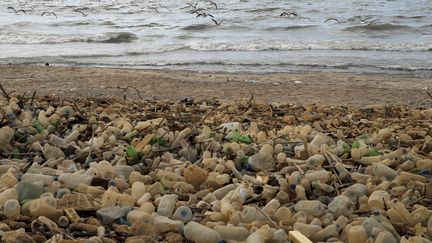 Des détritus plastiques sur une plage de Beyrouth (Liban), le 22 septembre 2016. (JOSEPH EID / AFP)