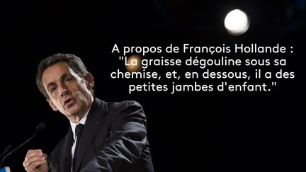 Propos rapportés par la journaliste Michèle Cotta dans son livre "Comment en est-on arrivé là ? Histoire d’un chaos politique" à paraître le 6 octobre 2016. (MARTIN BUREAU / AFP)