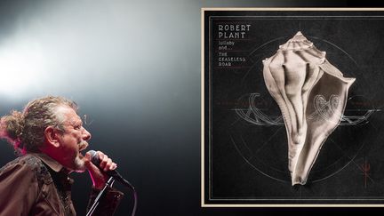 Robert Plant aux Eurockéennes, juin 2014
 (SEBASTIEN BOZON / AFP)