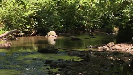 Cantal : une balade rafraîchissante dans les Gorges de la Jordanne (France 3)