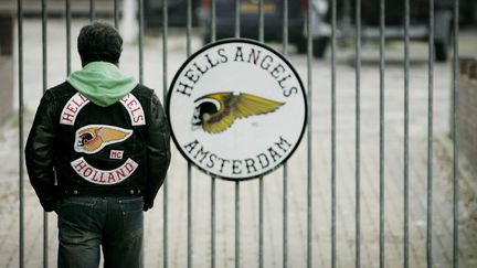 Un membre des Hells Angels d'Amsterdam (Pays-Bas), en novembre 2006.&nbsp; (RICK NEDERSTIGT / ANP)