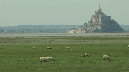 Mont-Saint-Michel : les trésors de la baie, patrimoine mondial de l'Unesco (France 3)