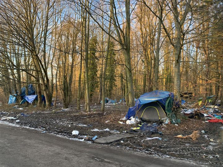 Des tentes installées dans le bois de Grande-Synthe (Nord), le 9 février 2021.
 (MATHILDE VINCENEUX / RADIO FRANCE)