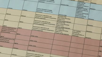 Un fichier appelé "Glyphosate target" liste 74 cibles prioritaires, divisées en quatre groupes en fonction de leur soutien à Monsanto (capture d'écran). (L'OEIL DU 20 HEURES / FRANCE 2)