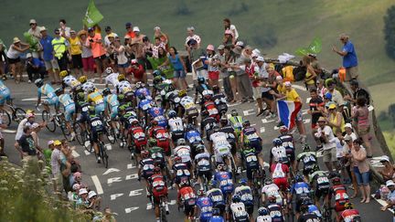 Le peloton attaque la montagne avec trois étapes pyrénéennes jusqu'à jeudi  (LIONEL BONAVENTURE / AFP)