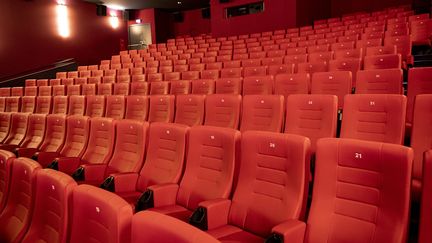 Image d'illustration. Les sièges vides d'un cinéma de Berlin, fermé en raison de la pandémie de coronavirus.&nbsp; (FABIAN SOMMER / DPA)