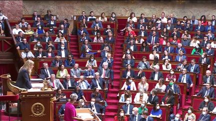 À l'appel des présidents du Sénat et de l'Assemblée nationale, une marche contre l'antisémitisme aura lieu dimanche 12 novembre. La participation du RN divise. (FRANCEINFO)