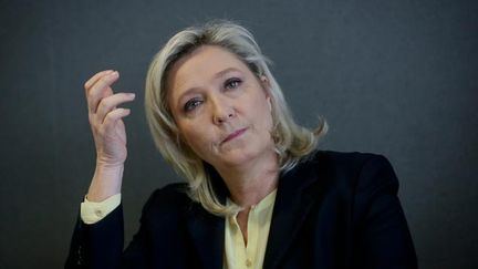 &nbsp; (Marine Le Pen se prépare activement pour 2017 © maxPPP)