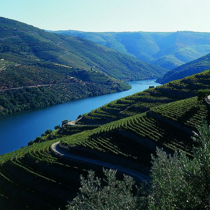 &nbsp; (Vallée du Douro © tdp OT Portugal)