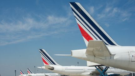 Des avions posés à l'aéroport de Roissy (Val-d'Oise), le 28 avril 2021. (SANDRINE MARTY / HANS LUCAS / AFP)