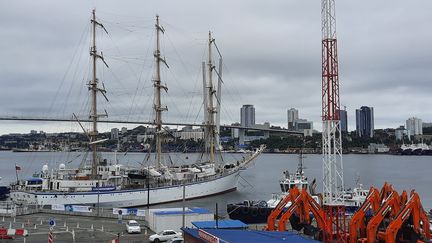 Le port de Vladivostok, dans l'Extrême-Orient russe, accueille le 7e Forum économique oriental, mercredi 7 septembre. (FRANCEINFO / RADIOFRANCE)