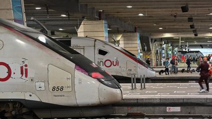 Des trains en gare de Paris Montparnasse, le 22 octobre 2024. (HENRIQUE CAMPOS / HANS LUCAS / AFP)