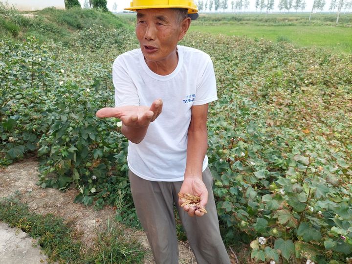 Un agriculteur chinois s'inquiète de la sécheresse, en septembre 2022. (SEBASTIEN BERRIOT / RADIO FRANCE)