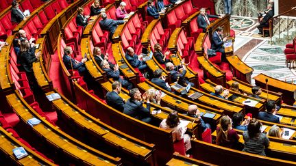 L'hémicycle de l'Assemblée nationale, photographié le 30 novembre 2022. (XOSE BOUZAS / HANS LUCAS / AFP)