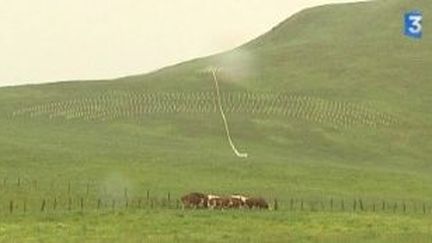 &quot;Horizons&quot; 2010 au massif du Sancy, quand l&#039;art et la nature ne font qu&#039;un
 (Culturebox)