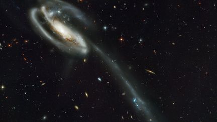 La galaxie UGC 10214 a une queue longue de&nbsp;280 000 années-lumières. (HUBBLE SPACE TELESCOPE / NASA / ESA)