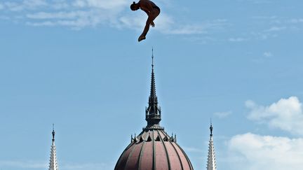 JUILLET. Le Colombien Orlando Duque, lors du concours de plongeon des championnats du monde de natation, le 30 juillet à Budapest (Hongrie). (FERENC ISZA / AFP)