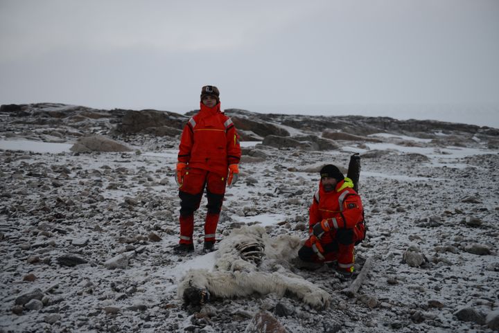 Gilles Elkaim et sa femme Alexia Nezondet posent aux côtés d'un ours mort, dans l'archipel du Svalbard, en octobre 2016. (GILLES ELKAIM / FRANCEINFO)