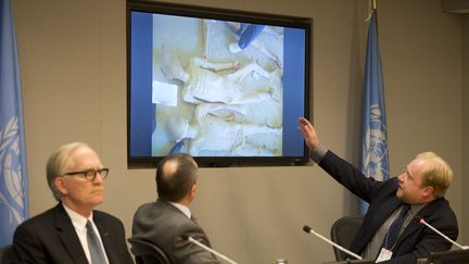 Le Dr Stuart Hamilton, (&agrave; droite), G&eacute;rard Araud (au centre),&nbsp;l'ambassadeur fran&ccedil;ais aux Nations Unies, et le professeur&nbsp;David M. Crane (gauche), le 15 avril 2014 &agrave; New York, d&eacute;voilant des photos du "rapport C&eacute;sar". (DON EMMERT / AFP)