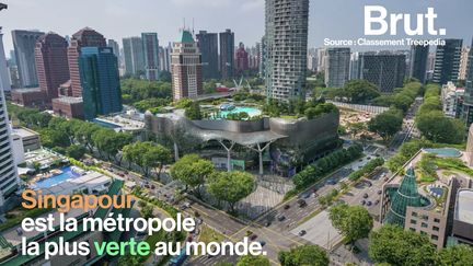 Surnommée la "ville jardin", Singapour est la métropole la plus verte au monde.