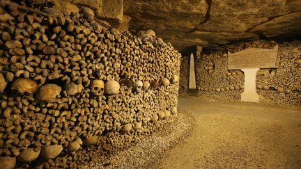 Les Catacombes à Paris
 (Gilles Targat)