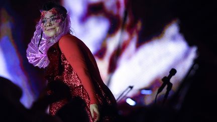 Björk à Berlin début août 2015
 (BRITTA PEDERSEN / ZB / Picture-Alliance/AFP)