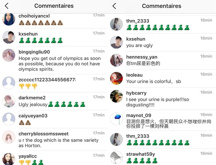 Capture d'écran des commentaires publié sur le compte de Camille Lacourt.&nbsp; (INSTAGRAM)